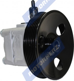 Насос гидроусилителя руля P1313HG P1313HG MOTORHERZ