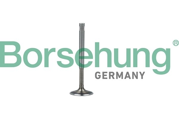 клапан выпускной! 29.9x6x103.9\ Audi A3-A6, VW Golf/Passat 1.8-2.8 94> B19010 BORSEHUNG