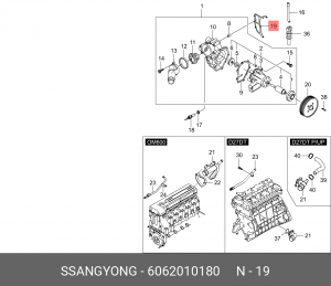 Прокладка SSANGYONG Actyon (06-),Kyron (05-),Rexton (02-) (D20/27,OM600) насоса  6062010180 SSANG YONG