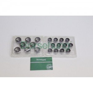 гидрокомпенсатор! комплект 20 шт. впуск.+выпуск.\ Audi, VW 1.8/T 20V 94>/2.4-2.8 B18959 BORSEHUNG