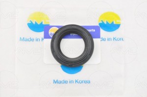 HYUNDAI AMD.GAS107 AMD