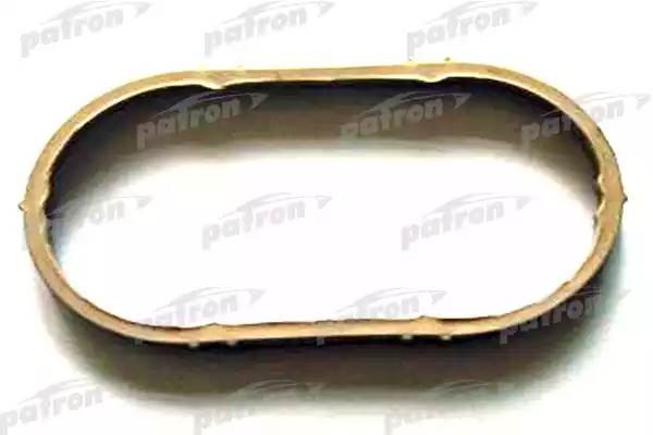 RENAULT CLIO/ ESPACE/ KANGOO/ LAGUNA PG51028 PATRON