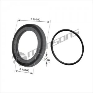 Сальник ступицы  SMB  M91002101  110*160*17 без ABS GR175 GR175 MANSONS