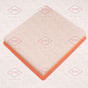 OPEL INSIGNIA (2008>) TBC1289 TATSUMI