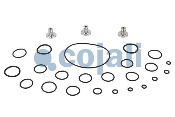 Р/к клапана пневмосистемы 6014040 COJALI