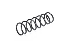 Пружина задняя 4850002 METACO