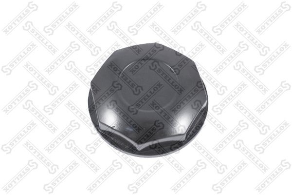 крышка ступицы! M112x2/50 наружн. SW115\RVI Premium,Magnum 83-00034-SX STELLOX