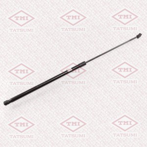 A6 [C6,4F] (2005-2011) TAF1105 TATSUMI