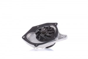 Насос водяной RENAULT KANGOO, MEGANE II 1.5dCi R-217 R217 DOLZ