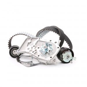 ремкомплект ГРМ! с помпой Renault Megane/Laguna/Clio/Duster 1.4-1.6i 01> KTBWP4601 DAYCO