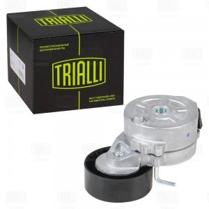 Ролик привод. ремня для а.м Ford Mondeo IV (07-),Kuga (13-) 2.0d,2.2d (с натяж.  CM5399 TRIALLI