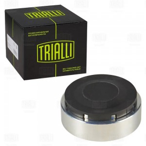 Ролик привод. ремня Audi A6 (97-) 2.5d (опор.) компресс. AC (CM 5271) CM 5271 TRIALLI