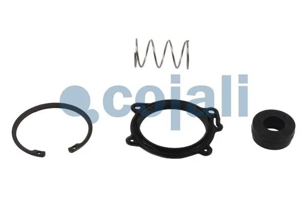 РМК модуля EBS Knorr 6014048 COJALI