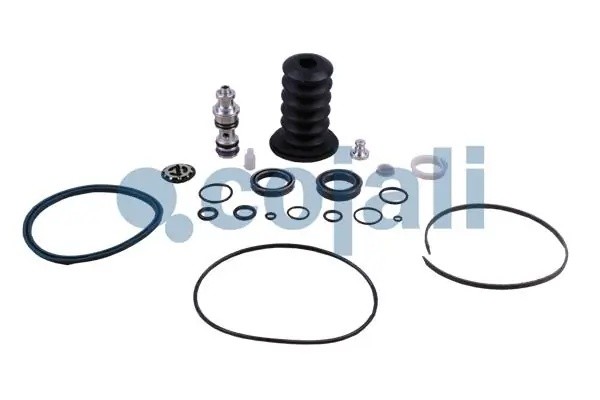 Ремкомплект RENAULT Premium,Magnum,Kerax ПГУ COJALI 6034032 COJALI