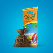 ароматизатор! Tensy подвесной гранула мешочек Водопад\ TME12 TENSY