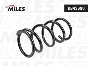 Пружина подвески Toyota RAV 4 (A10) 94-задняя  DB43690 DB43690 MILES