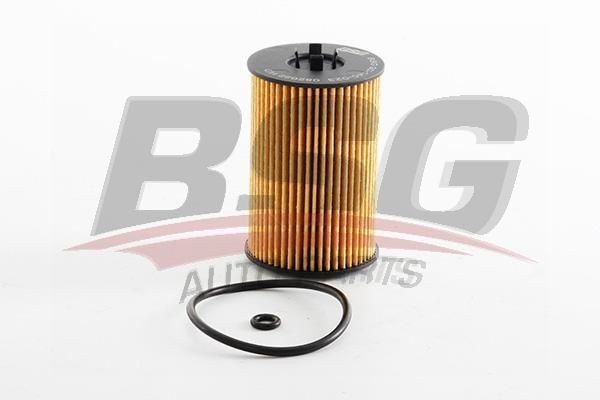 Фильтр масляный VW Golf,Passat (13-) AUDI (13-) BSG BSG 90-140-023 BSG
