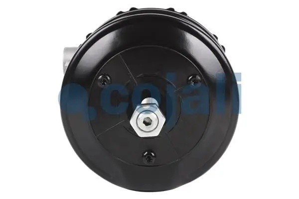 энергоаккумулятор! T16 дискового тормоза\ MAN 2251532 COJALI