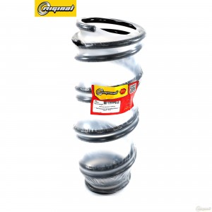 Пружина подвески передней  2шт RG5401095F0B RIGINAL