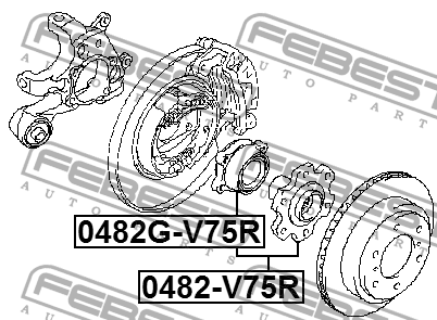 Ступица задняя 0482G-V75R FEBEST