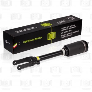 Стойка пневматическая перед. Mercedes ML (05-)/GL (06-) без ADS (AG 15960) AG 15960 TRIALLI