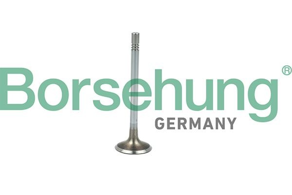 клапан впускной!\ VW T5 2.0 CAAA 09> B19021 BORSEHUNG