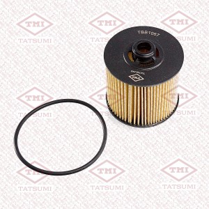 GEELY COOLRAY (2020>) TBB1067 TATSUMI