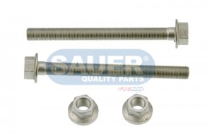 Комплект болтов амортизатора М16 SAUER S3411 /186696 Schmitz S3410001000 SAUER