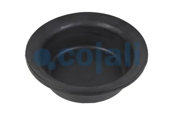 мембрана !глубокая 20 h=45 D=168 \MB, Scania, RVI, DAF 6001113 COJALI