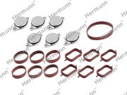 ЗАГЛУШКИ С ПРОКЛАДКАМИ HR11617800584KIT HR11617800584KIT HERMANN