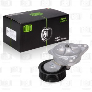 Ролик привод. ремня Ford Focus I (98-) 1.6i/1.8i/2.0i Zetec-E (с натяж. мех.) (C CM 1007 TRIALLI