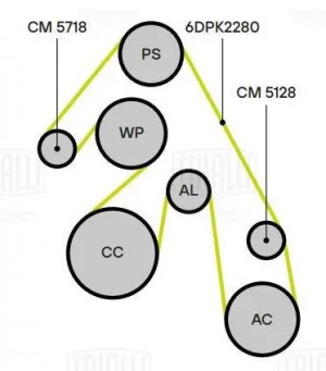 Ролик привод. ремня Land Rover Freelander II (06-) 2.2d (опор.) (CM 5128) CM 5128 TRIALLI