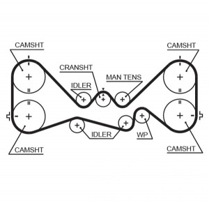 Ремень зубчатый 5384XS 281 x 30 (8597-15384) 5384XS GATES