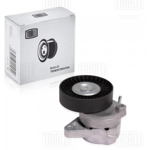 Ролик привод. ремня с натяж. мех. Mercedes C (W202) (93-)/C (W203) (00-) 2.4/2.8 CMS 1507 TRIALLI