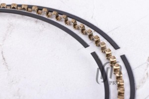 Кольца поршневые 1.00 Honda D16W1 d75.0+1.0 1.0-1.2-2.8 (13031-P08-003) на 1 цил PR1165100 UNITED MOTORS PRO
