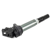 BMW X5 E70 (2007-2013) в оригинале Delphi GIG16051 GANZ