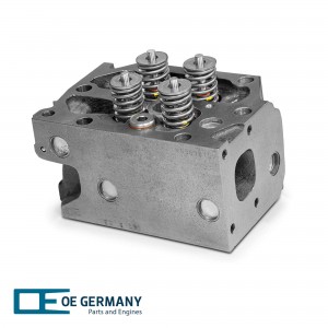 Головка блока цилиндров [R6 D128 c клапанами] 020129287601 OE GERMANY