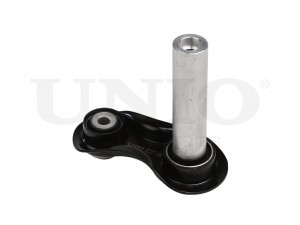 Рычаг подвески поперечный задний нижний SSP-40124 UNIO