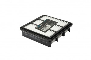 Фильтр воздушный HYUNDAI, KIA (55557184, 55557185, 5834045, 93188725) LECAR000201501 LECAR