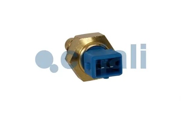 Датчик температуры DAF (М18х1,5, 2 конт.) 2260932 COJALI