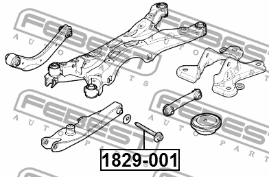 Болт с эксцентриком OPEL SIGNUM 2003-2008 1829-001 1829-001 FEBEST