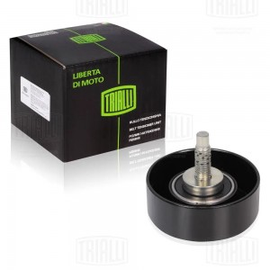 Ролик генер. ремня Ford Focus (98-) CM1005 CM 1005 TRIALLI