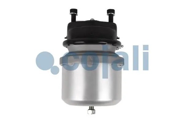 Энергоаккумулятор 24/30 Scania аналог Knorr K017119N00 2351304 COJALI