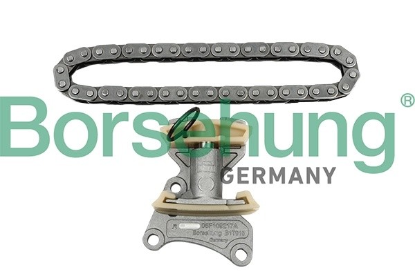 рем.к-кт цепи ГРМ!\ Audi A3/A4/A6, VW Golf/Passat/Touran 2.0TFSi 02> B18847 BORSEHUNG