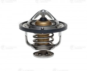 HYUNDAI/MITSUBISHI/NISSAN LT0837 LUZAR