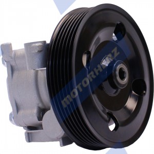 Насос гидроусилителя руля P1312HG P1312HG MOTORHERZ