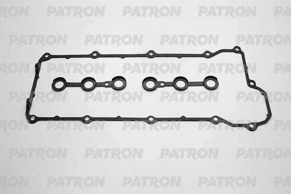 BMW E36/E34  2.0/2.5/2.8L m.50Vanos/m.52Vanos PG1-6006 PATRON