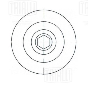 Ролик привод. ремня Hyundai Santa Fe (06-) 2.7i (только ролик натяж.) (CM 5546) CM 5546 TRIALLI
