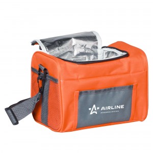 Сумка изотермическая 6л 24х18х17см AIRLINE AO-CB-01 AIRLINE