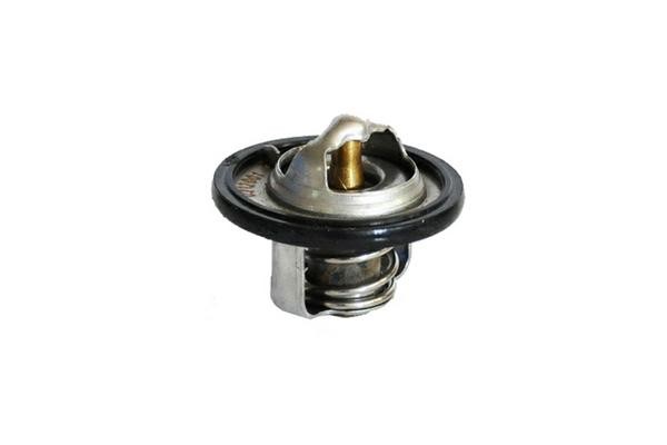 Термостат 30653 30653 ASAM